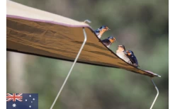 Gordigear Dachzelt 165 Plus Für 3 Personen Mit Vorzelt 165 X 320 Cm Grün -Campingwelt Verkauf 585663 3986115